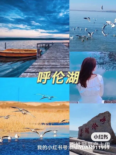 呼伦贝尔大草原旅游自由行包车找常师傅靠谱 - 图片 6