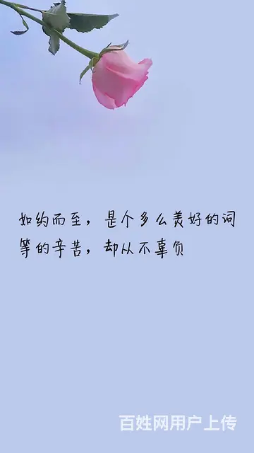 昆明小三分离师、分离小三 - 图片 6