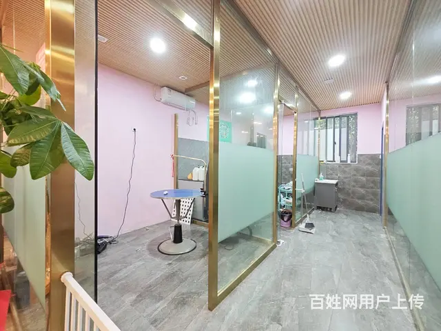（老板本人）成熟小区连锁宠物店转让（可空转） 6252 - 图片 8