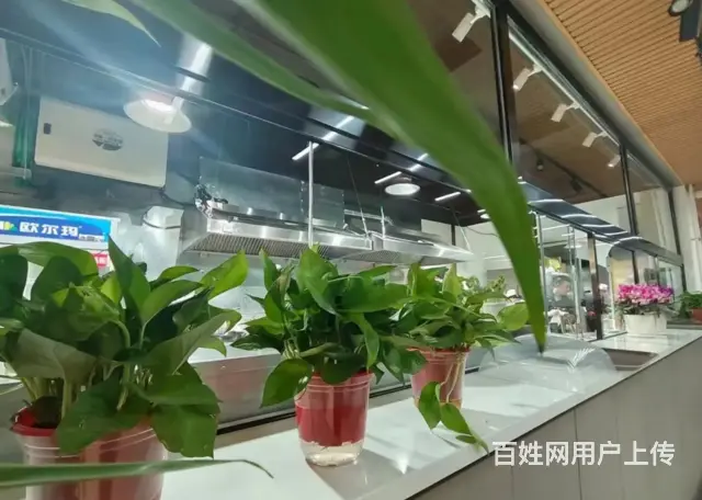急转-尧都区（钢苑小区）300平饺子馆 - 图片 3