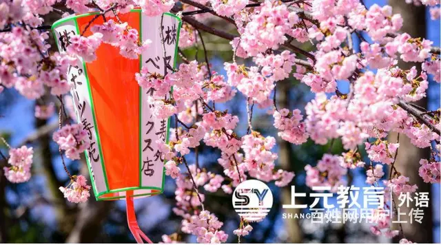 杭州外语培训哪家好|日语单词背诵小技巧 - 图片