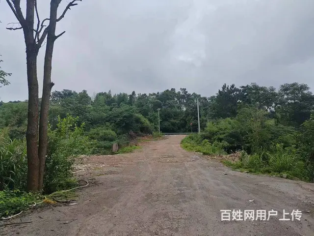 （老年本人）岳麓区含浦镇栗山塘收费站旁边厂房+整栋房屋出租 - 图片 6