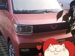 迈莎锐Cayenne [卡宴] 2020款 3.0T 手自一