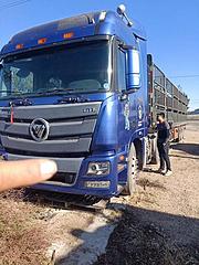 欧曼 半挂车 仓栅式 国3