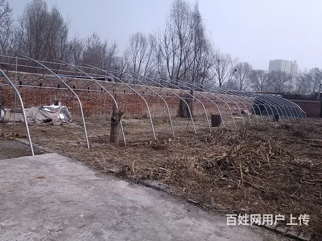 长治市二院附近一个大院 - 图片 2