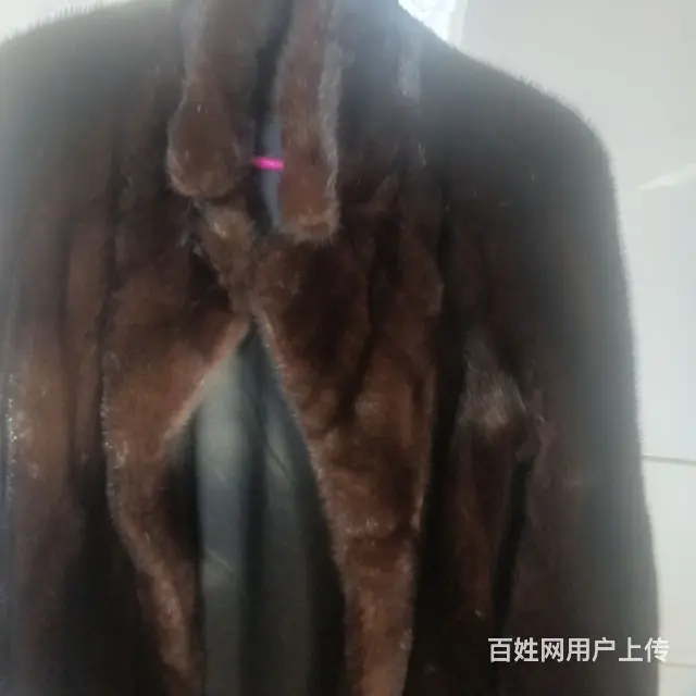【搞定了！】特价出中古貂，进口毛黑棕色，蒜瓣绒 - 图片 1