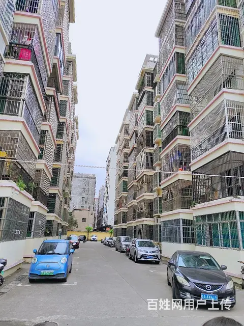 白驹学校正对面 - 图片 8