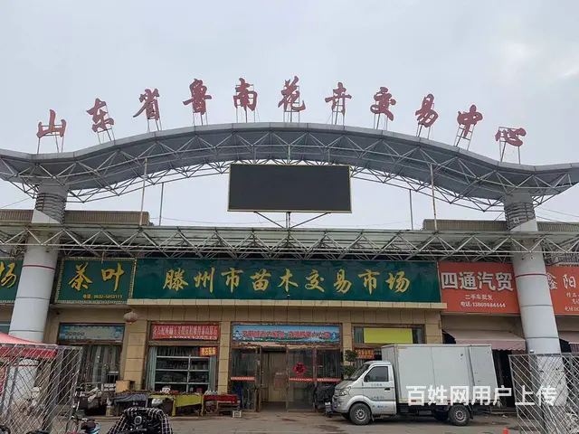 【搞定了！】龙泉南路董村花卉正西门口旺铺吉转（房租便宜！客流 - 图片 2