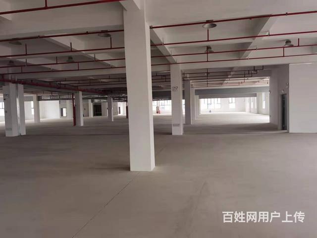 产业园现房出售2680/平起，户型面积灵动，即买即用