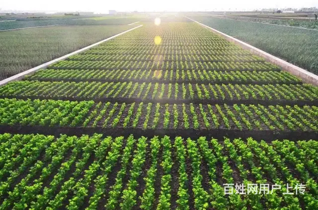 挪威新西兰高薪招聘出国劳务工包吃住月结工资男女不限 - 图片 11