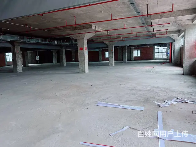 （老板本人）状农国际集团大型食品加工厂厂房仓库出租，可出售 - 图片 10