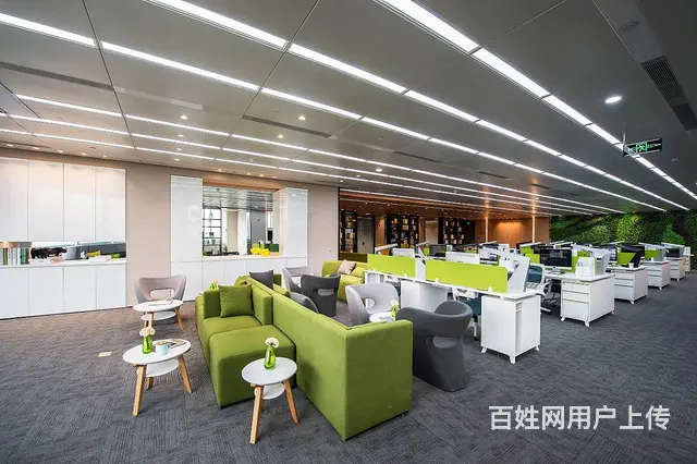 当办公空间邂逅绿植：重塑工作环境的美学与功能 - 图片 2