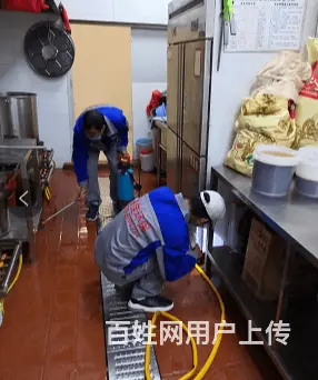 商丘捕鼠公司商丘环境消杀服务 - 图片 3