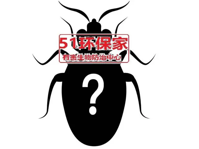 【安全彻底】武汉三镇灭鼠除虫灭白蚁灭蚊蝇 - 图片 4
