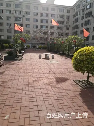 电梯江景洋房（城市里的别墅）出售 - 图片 3