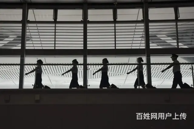 金华G城市风景线高铁乘务员招聘 - 图片 1