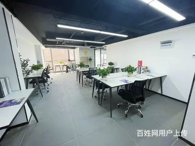 代理记账：代帐报税、整理旧帐乱账、财务审计、 - 图片 4