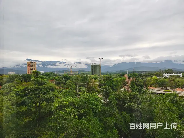 出租乐东公园一品墅62平一居室 - 图片 10
