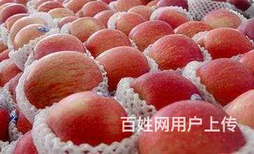 各类水果 - 图片 6
