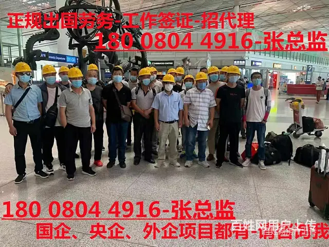 防城港，正规劳务出国公司招塔吊、吊车司机@包吃住上五休二 - 图片 8
