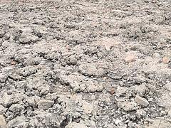 甘肃关牛湾2000万立方露天开采工程对外承包