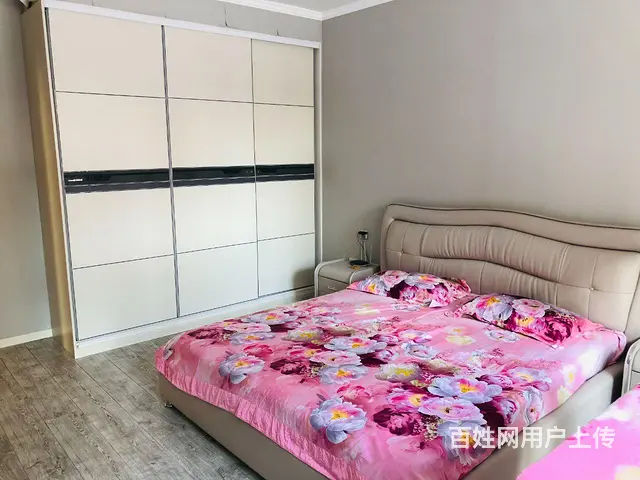 【搞定了！】北欧印象精装修出租 - 图片 2