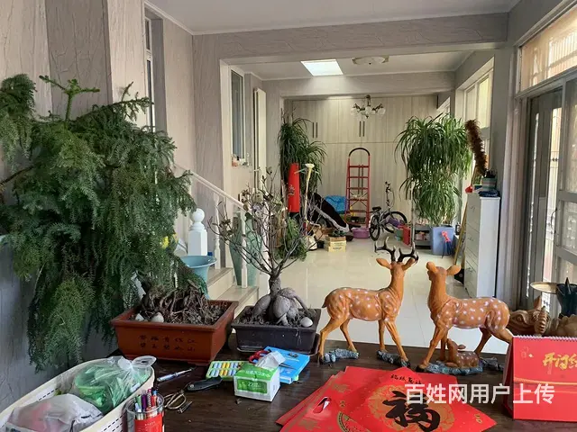 齐国商城  带60平大院，精装3室2厅  对面齐园，天然氧吧 - 图片 7