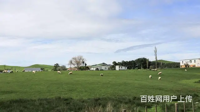 出国工作高薪工作出国打工出国赚钱月薪40万不是梦 - 图片 8
