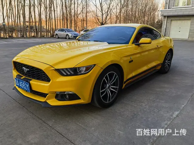 福特Mustang [野马] 2016款 2.3T 手自一体 - 图片 3