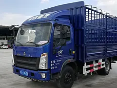 重汽豪沃(HOWO) 其他 高栏/栏板 国5