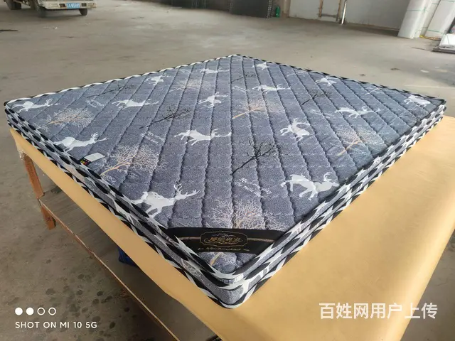 超便宜出租房用床垫大量出售！！！！ - 图片 1