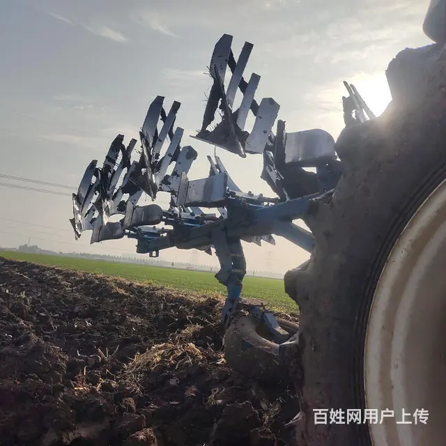 干活中450大梨 - 图片 5