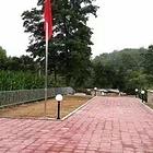 普兰店四平镇400平四合院2亩地30万出售或直换