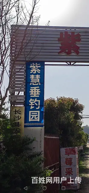 营业中12亩钓场优价急转 - 图片 1