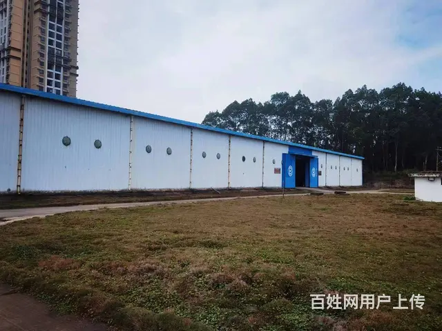 秀英区永桂路期货仓库400-18000平招租9米层高 - 图片 8