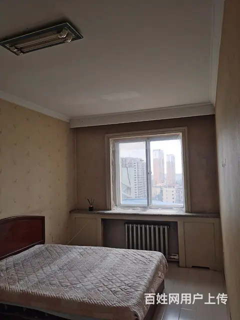 房屋出租 - 图片 3
