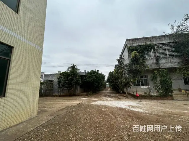 （51旺铺推荐）桂林洋大学城附近整栋楼1200平出租 - 图片 11