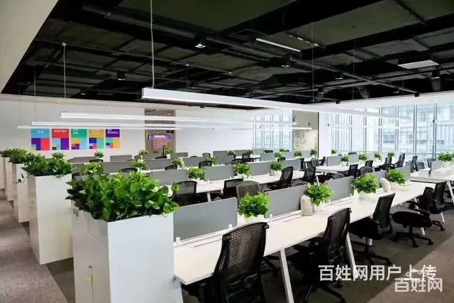 *代理,互联网代理 老牌平台 渠道支持 - 图片 5