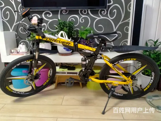 永久24速山地自行车 - 图片 6