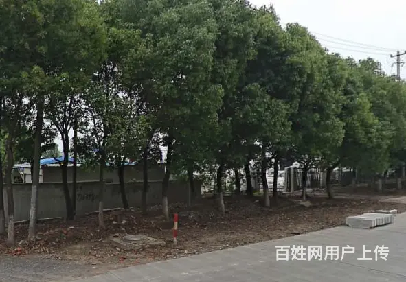 昆山万安路厂房空地出租 - 图片 1