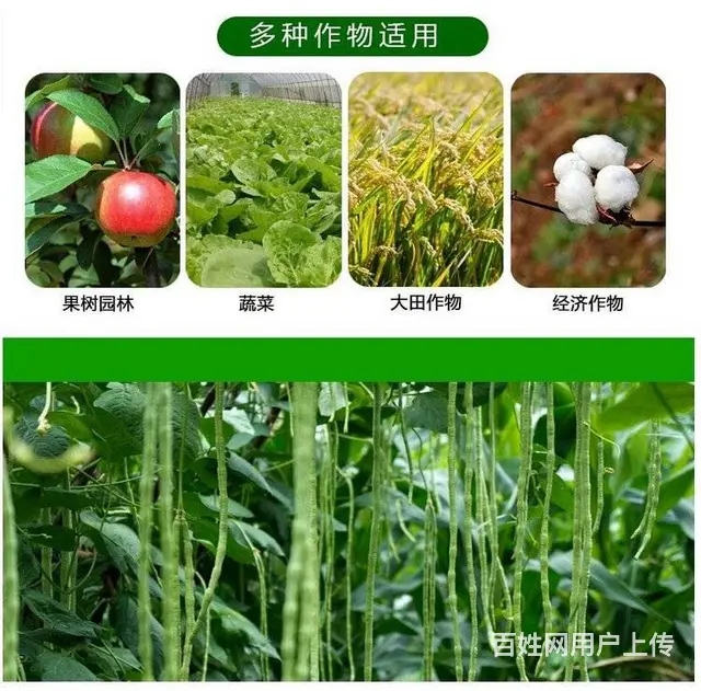 22%噻虫高氯氟茶树番茄蔬菜茶小绿叶蝉蓟马蚜虫杀虫 - 图片 1