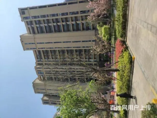 保亭人家稀缺高使用率 遇见就不要错过 - 图片 8