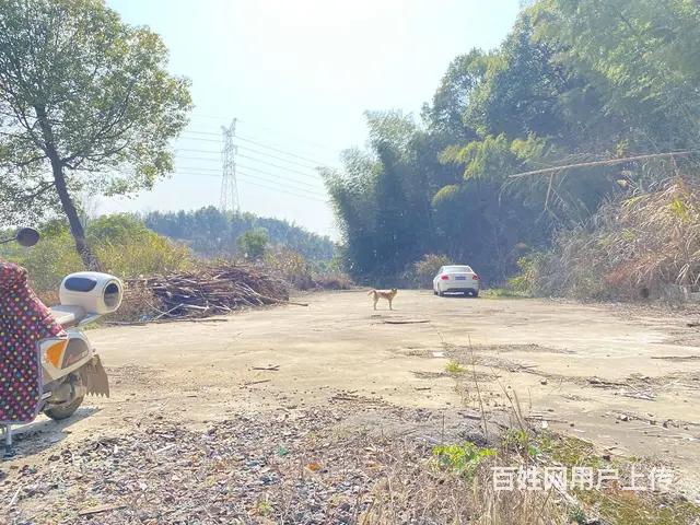 (房东直租)319国道180平仓库，带800平场地，价格便宜 - 图片 3