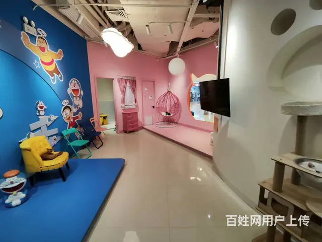 沈北新区吾悦广场宠物店出兑 - 图片 4