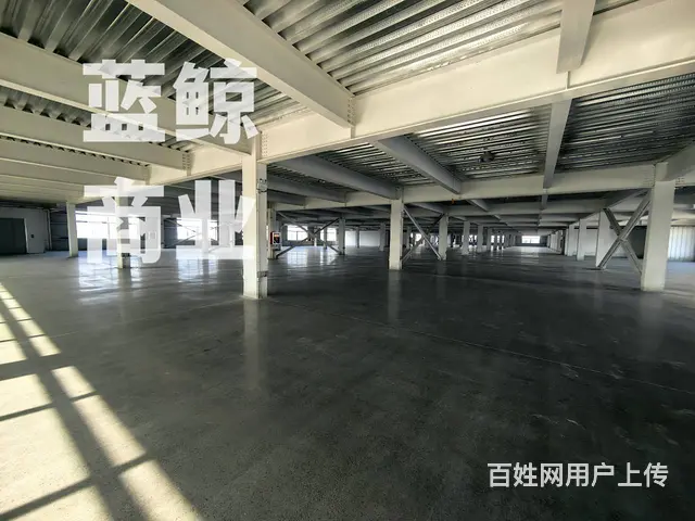 开发区2万平厂房可分组 - 图片 7