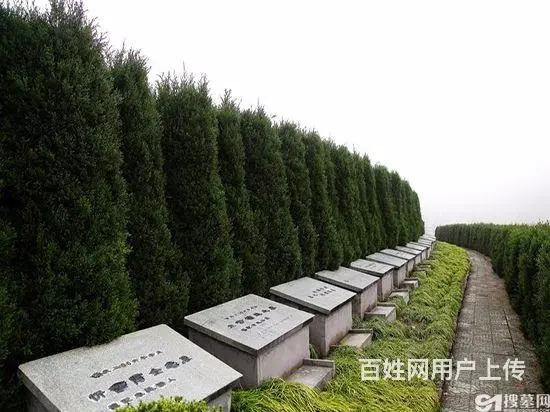 乌鲁木齐米泉市北郊公墓,墓地优惠销售,双人墓单人墓 - 图片 2