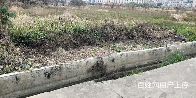 种植土地出租 - 图片 3