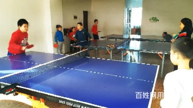 快乐乒乓球培训 - 图片