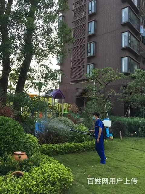 清远除甲醛、净化空气、灭虫，灭鼠，24小时上门服务 - 图片 6