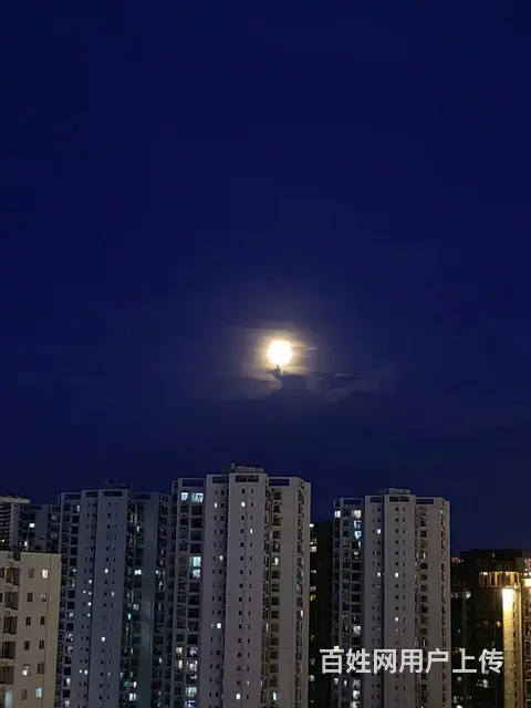 海南省海口市跑腿代办每天都有空随时有空啥事都能办 - 图片